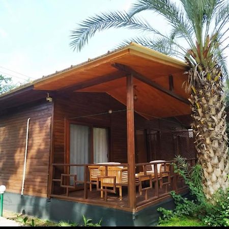 Olympos Yavuz Hotel Çıralı Exterior foto